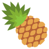 USP Icon 2